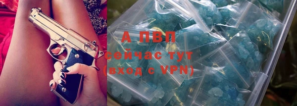 дживик Пестово