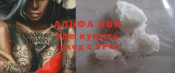 спиды Пересвет