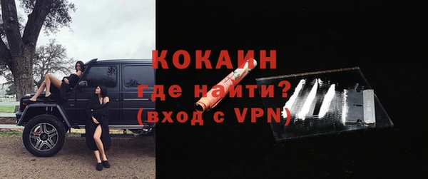 дживик Пестово