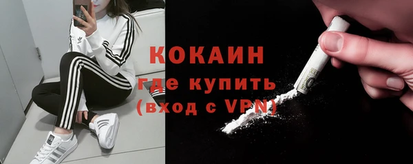 дживик Пестово