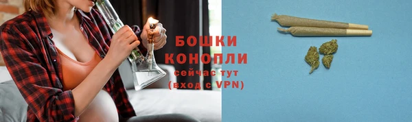трава Гатчина