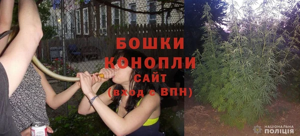 спиды Пересвет