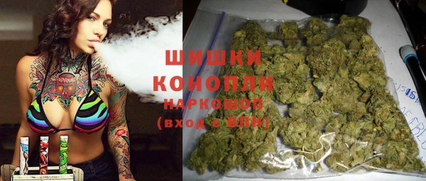 спиды Пересвет