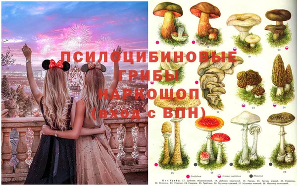 дживик Пестово
