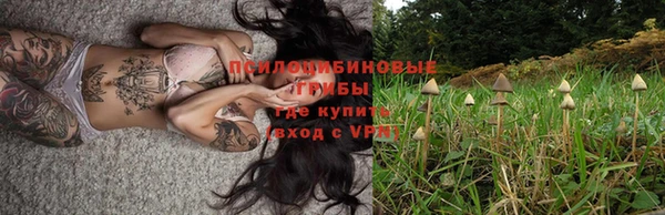 прущая мука Переславль-Залесский
