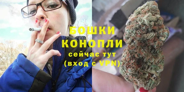 дживик Пестово