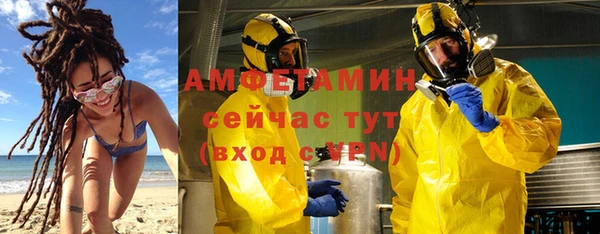 дживик Пестово