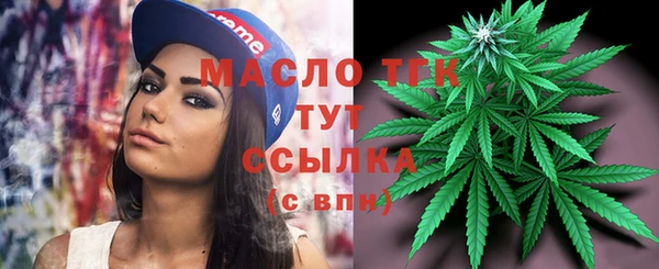 спиды Пересвет