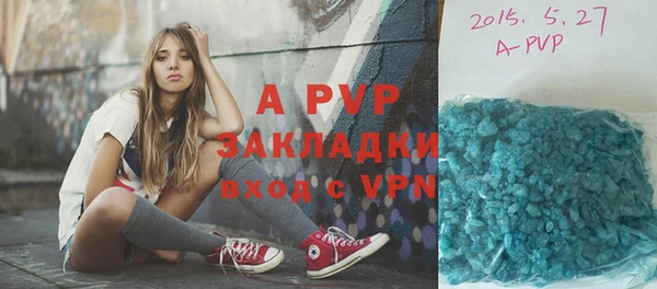 дживик Пестово