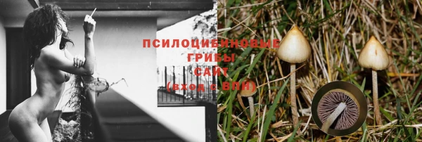 прущая мука Переславль-Залесский