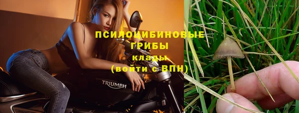 спиды Пересвет